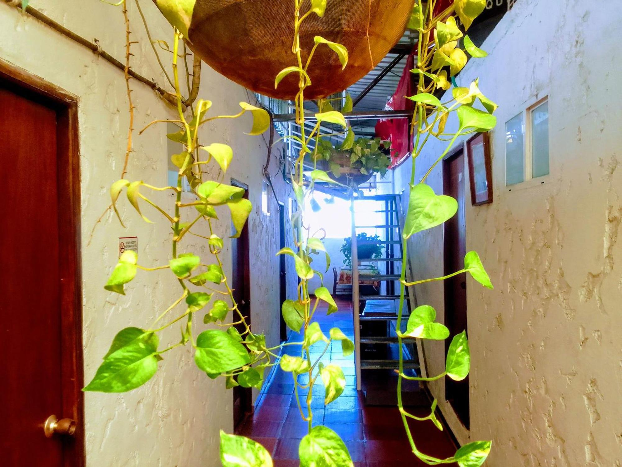 Rooftop Hostal Crisanto Luque Hotel - Cartagena, Cartagena